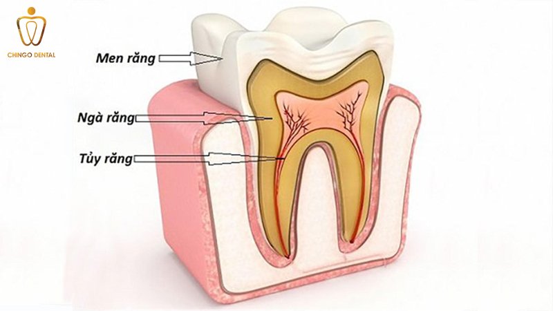 31dc601366dd9183c8cc