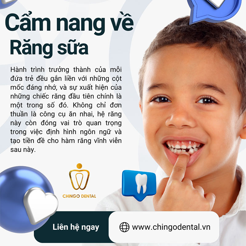 bé 5 tuổi thay răng sữa có sớm không